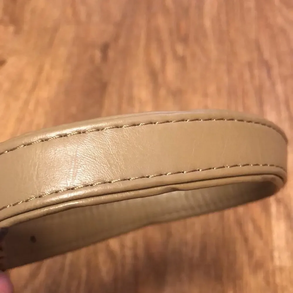 Martha Stewart Tan and Silver Leather Buckle Dog Collar Size 20